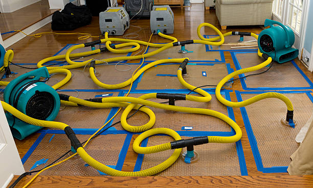 Professional Storm Water Damage Restoration technician working in Elkhart, IN
